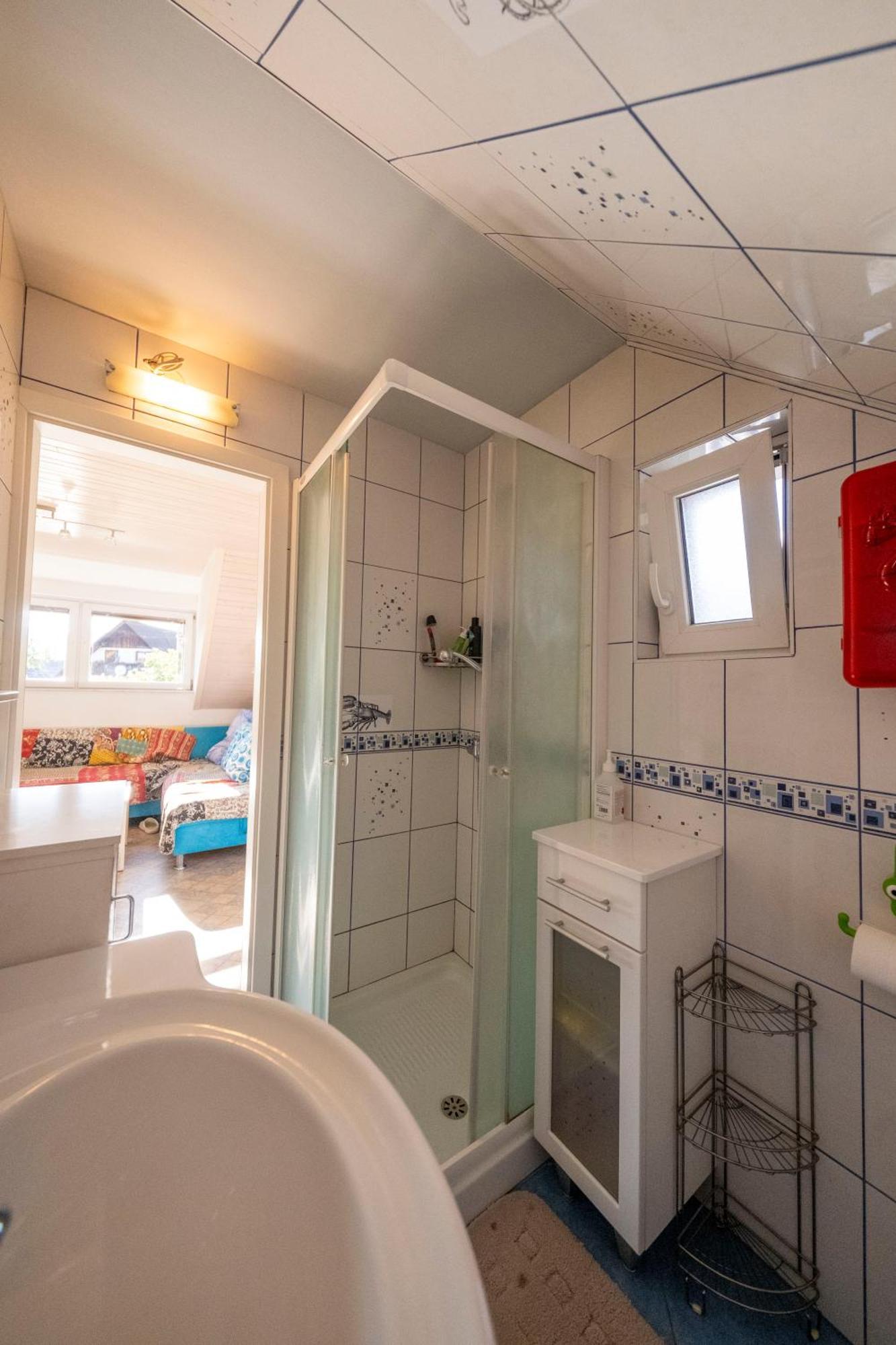Apartment Pirnat 博希尼 外观 照片